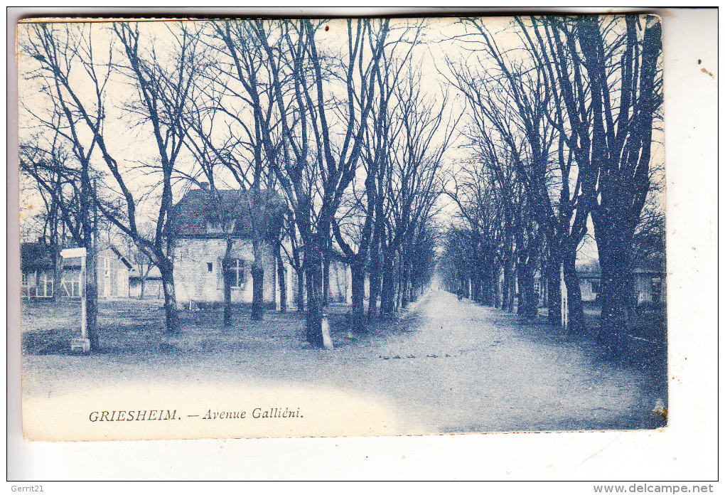 6103 GRIESHEIM, Avenue Gallieni - Griesheim