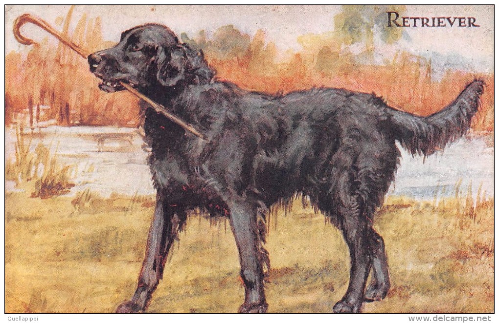 02823 "CANE - RETRIEVER CON BASTONE DA PASSEGGIO"   CART. NON SPED. - Chiens