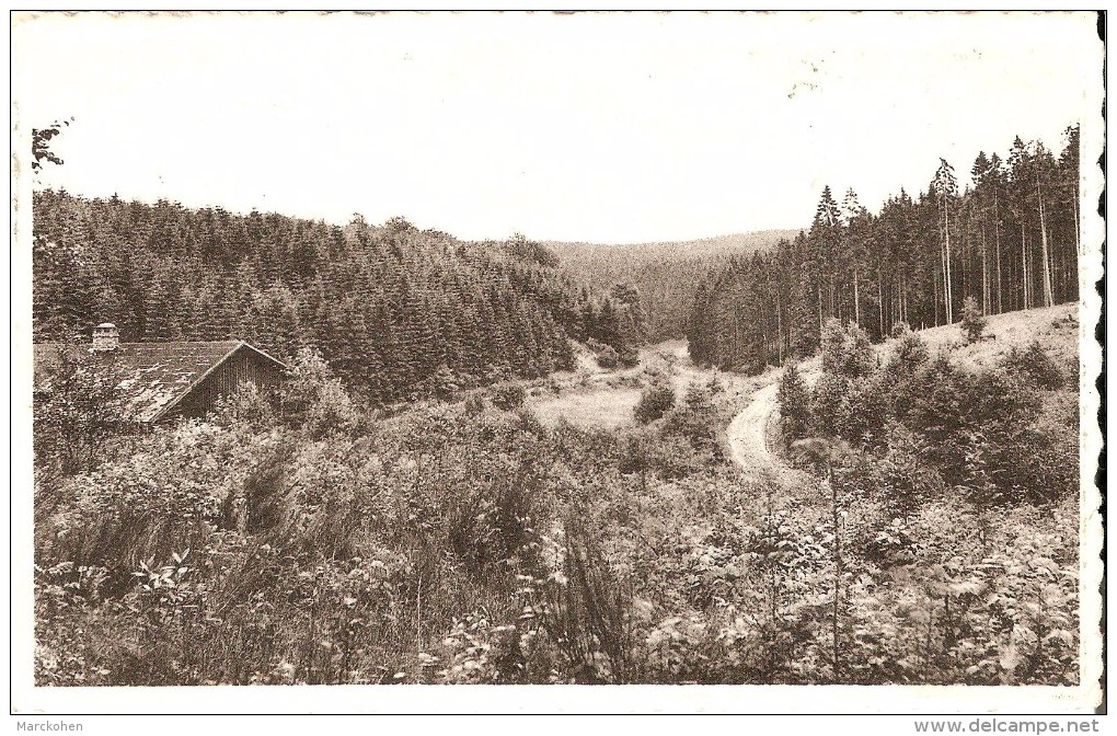 BULLANGE - ROCHERATH - KRINKELT (4761) : Jagdhütte. CPSM Rare. - Bullange - Buellingen