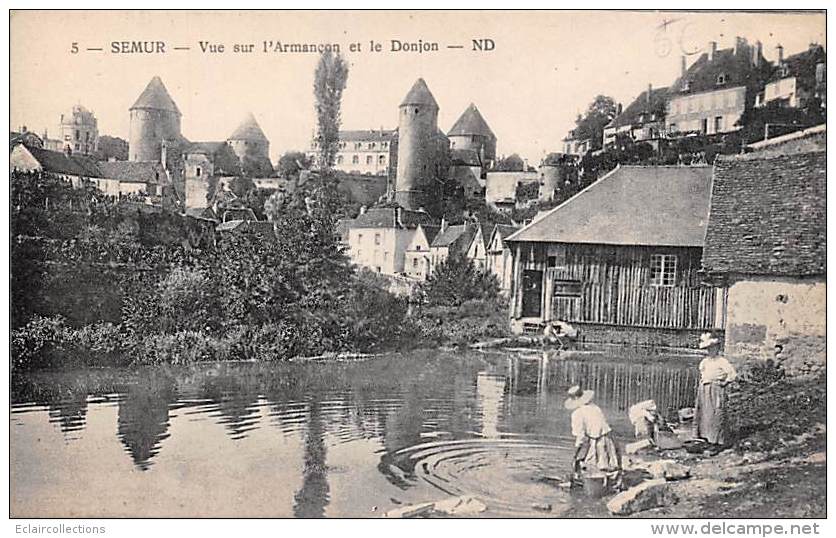 Semur     21     Vue Sur L'Armançon - Semur