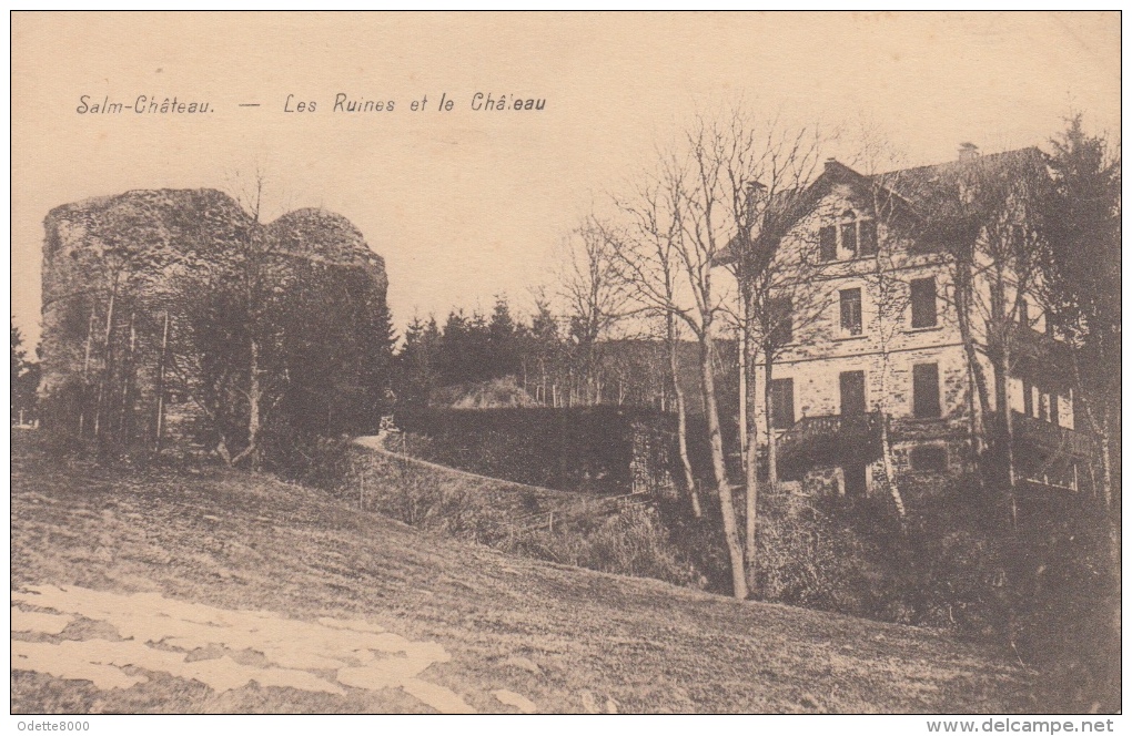 Salm- Chateau  Vielsalm     Les Ruines Et Le Chateau           Nr 5009 - Vielsalm