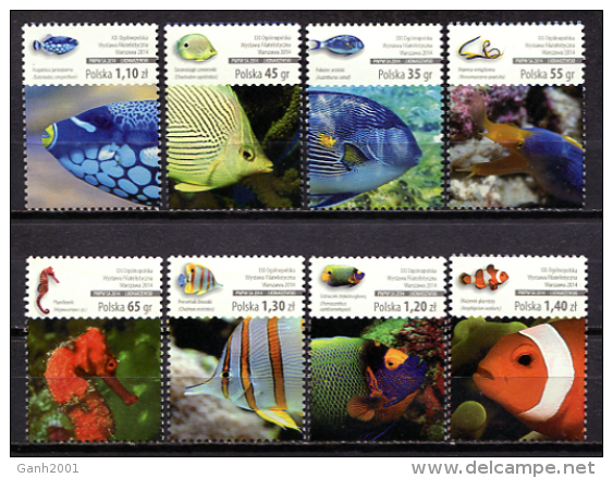 Poland 2014 Polonia / Fishes MNH Fische Poisson Peces / C10230  36 - Poissons