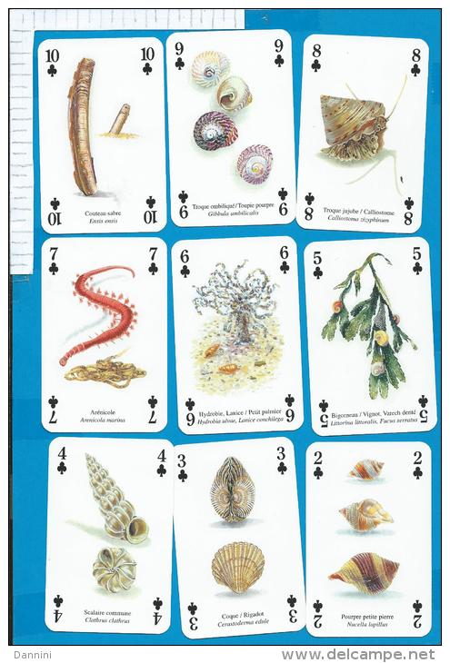 Playcards   Spielkarten    Sealife   Seeleben - 54 Kaarten