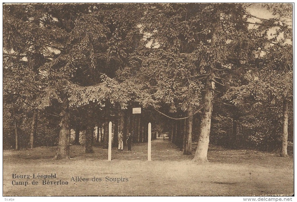 Camp De  Béverloo  -   Allée Des Soupirs.    1924  Naar  Assebroek  Bij  Brugge - Beringen