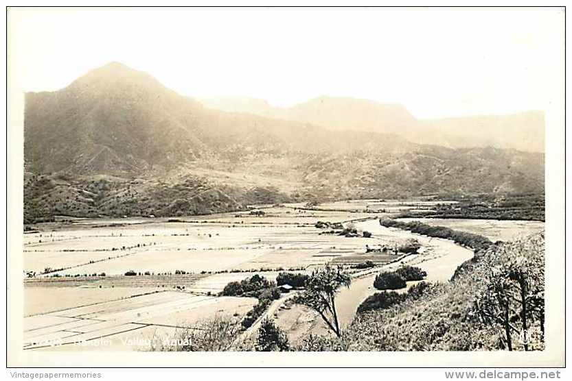 246879-Hawaii, Kauai, RPPC, Hanalei Valley, Farms, Kodak Hawaii No H-309 - Kauai