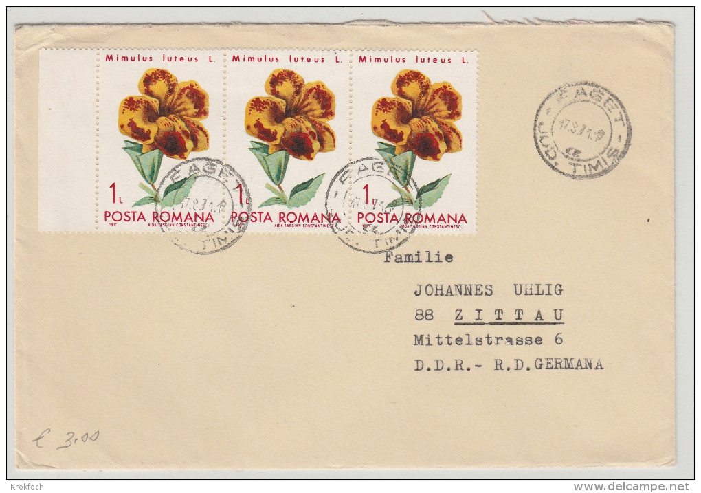 Faget Timis 1971 - Fleurs Flower Blumen - Lettre Cover Brief - Poststempel (Marcophilie)