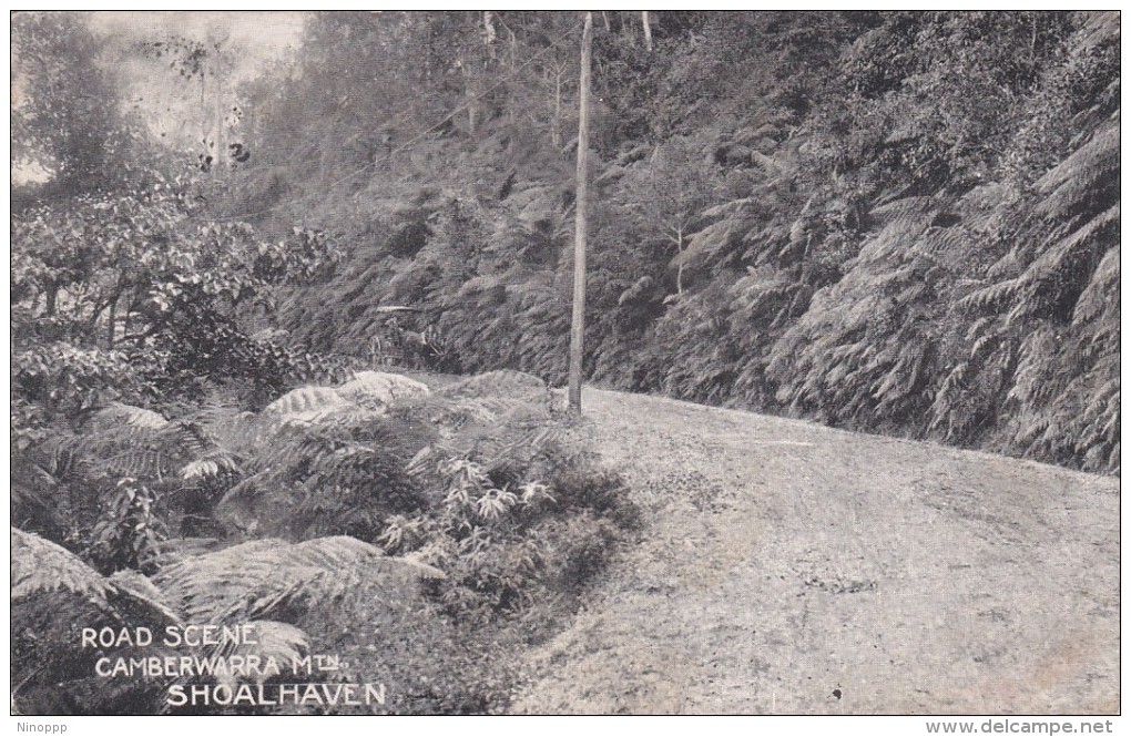 Australia New South Wales State 1904 Used Postcard, Camberwarra Mountain - World