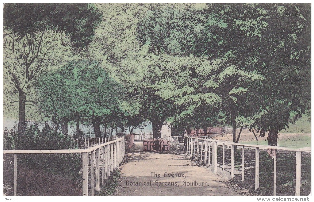 Australia New South Wales State 1904 Used Postcard, The Avenue Botanical Garden Goulburn - World