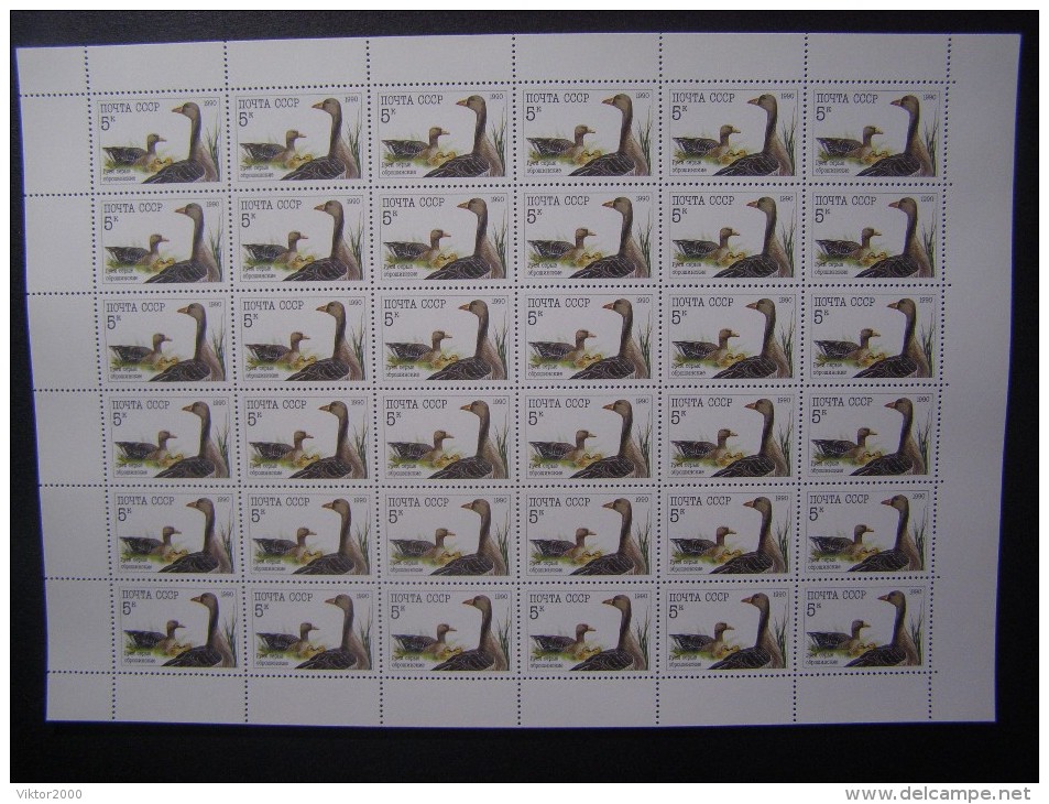 RUSSIA 1990 MNH (**)YVERT 5764 Les Oies.la Feuille De 36 Timbres/geese.sheet Of 36 Stamps - Ganzen