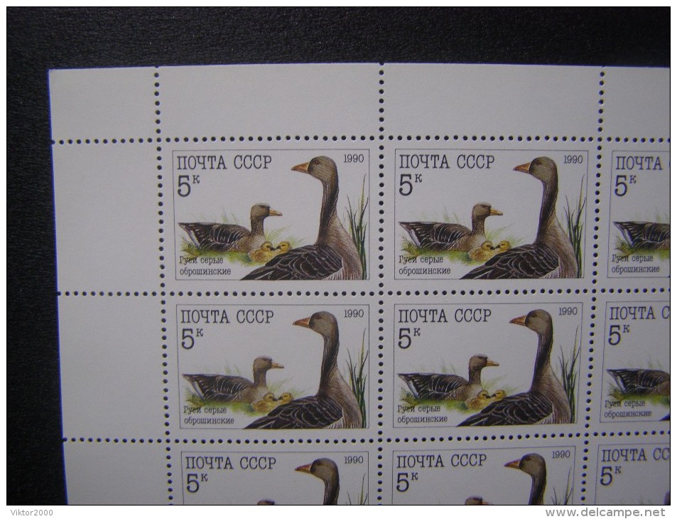 RUSSIA 1990 MNH (**)YVERT 5764 Les Oies.la Feuille De 36 Timbres/geese.sheet Of 36 Stamps - Ganzen