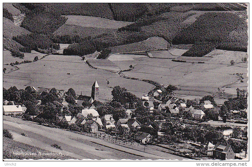 AK Saalhausen - Sauerland  (19861) - Lennestadt