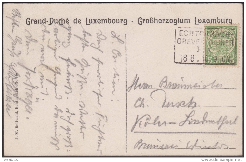 Luxembourg Vers 1905. Oblitération Ambulant Echternach à Grevenmacher. Carte De La Petite Suisse Luxembourgeoise - Maschinenstempel (EMA)