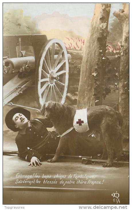 CP PATRIOTIQUE - COURAGE LES BONS CHIENS DE L'AMBULANCE ... CHIEN CROIX ROUGE PRES BLESSE - Patriottiche