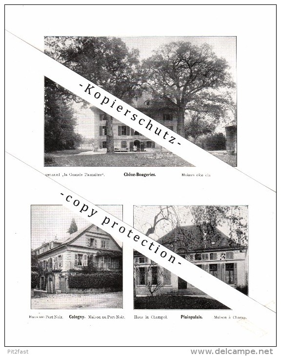 Photographien / Ansichten , 1912 , Cologny , Plainpalais , Chene-Bougeries , Cartigny , Prospekt , Architektur , Fotos ! - Cartigny