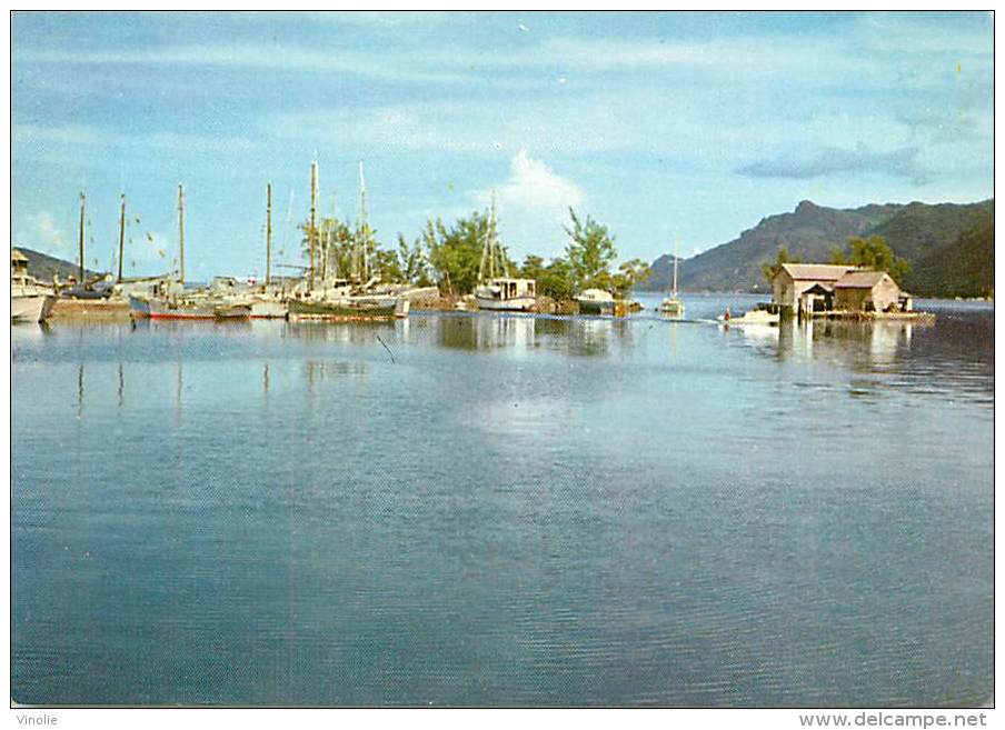 Réf : V 15-586  :   SEYCHELLES  MAHE HADOUL ISLAND - Seychellen