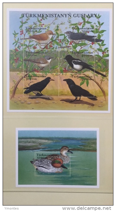 Birds Stamps (12 Valúes + 2S/S ) - Turkmenistán