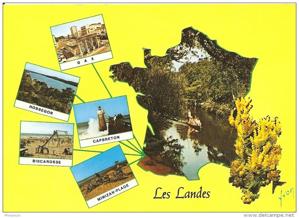 40. CPM. Landes. Lot De 2 Cartes (Surf, Forêt, Plage, Multi-vues, Dax, Capbreton, Biscarosse, Hossegor, Mimizan-Plage) - Autres & Non Classés