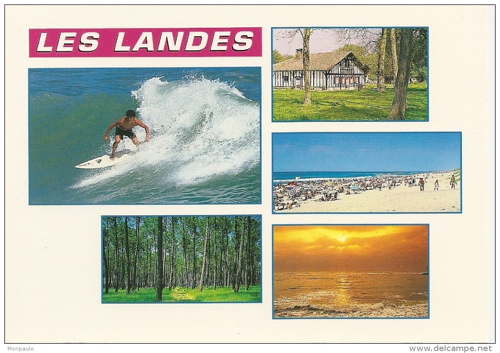 40. CPM. Landes. Lot De 2 Cartes (Surf, Forêt, Plage, Multi-vues, Dax, Capbreton, Biscarosse, Hossegor, Mimizan-Plage) - Autres & Non Classés