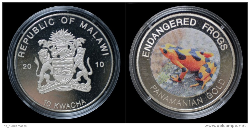 Malawi- 10 Kwacha 2010- Endangered Frogs- Panamanian Gold - Malawi