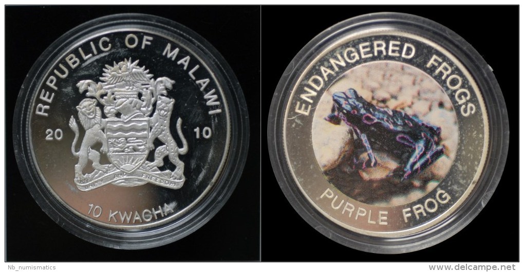 Malawi- 10 Kwacha 2010- Endangered Frogs- Purple Frog - Malawi