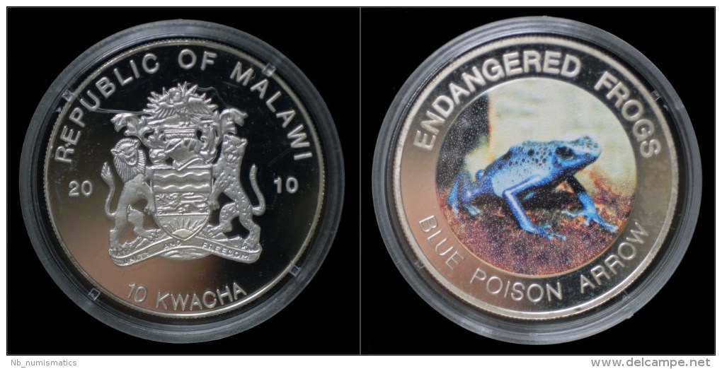 Malawi- 10 Kwacha 2010- Endangered Frogs- Blue Poison Arrow - Malawi