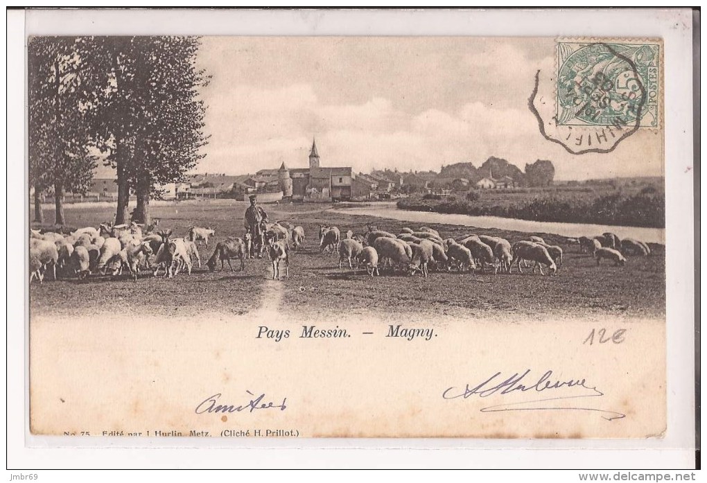 57 Magny Pays Messin Moutons Sheeps Chevres Goats Uupi - Altri & Non Classificati