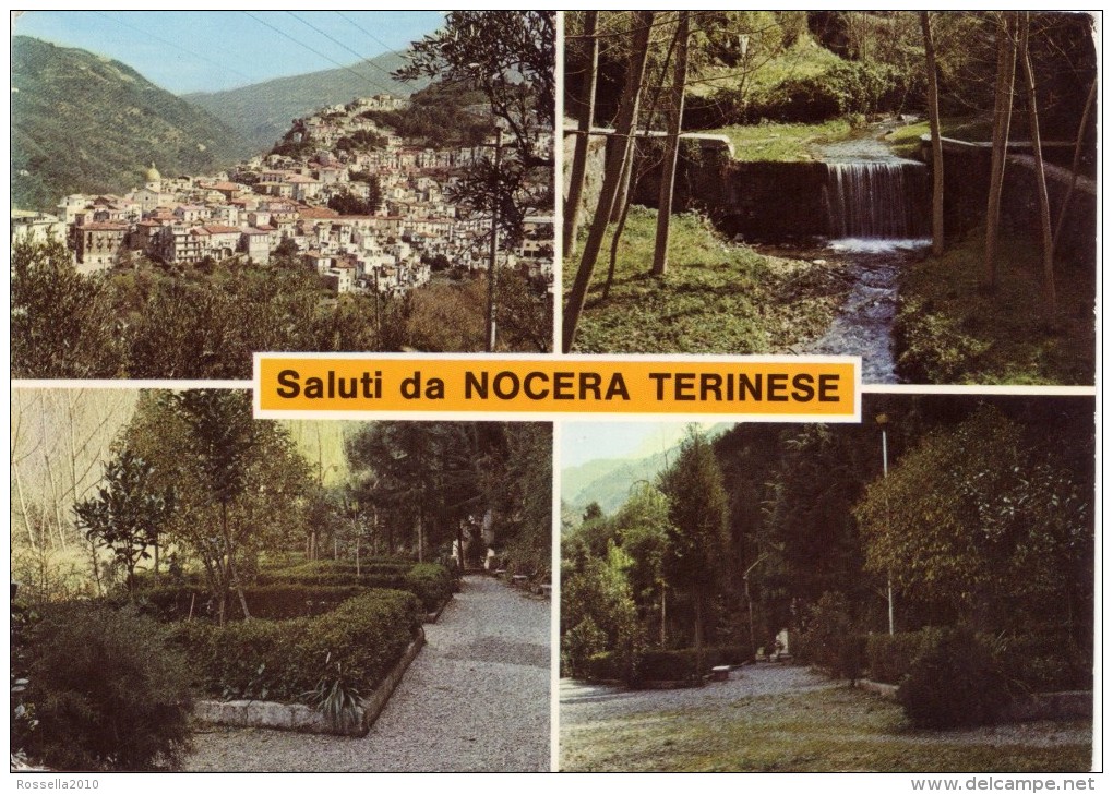 Cartolina ITALIA CALABRIA CATANZARO NOCERA TERINESE SALUTI Italy Postcard Italien Ansichtskarte Italie Carte Postale - Catanzaro