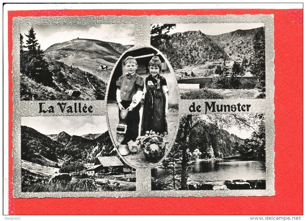 68 La Vallée De MUNSTER Cpsm Multivues      101 C S A E  P - Munster