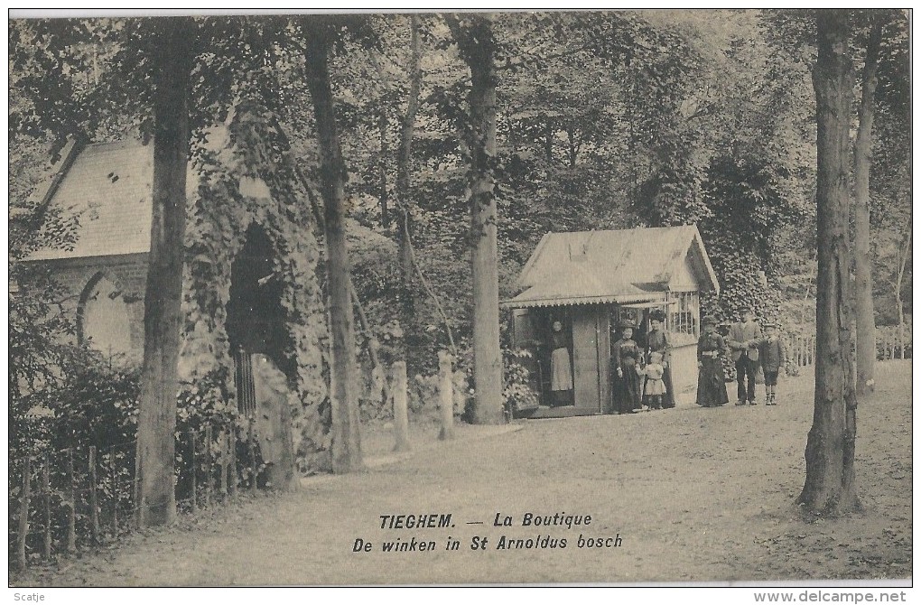 Tieghem.  -  De Winkel In St Arnoldus Bosch;  1907 - Anzegem