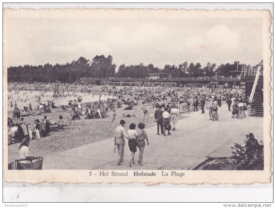 HOFSTADE : Het Strand - Zemst