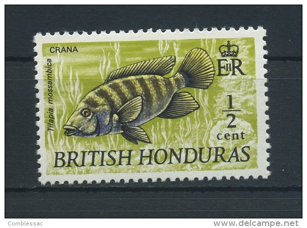 BRITISH  HONDURAS    1969   1/2c  Mouthbrooder    Yellow  Olive     MNH - British Honduras (...-1970)