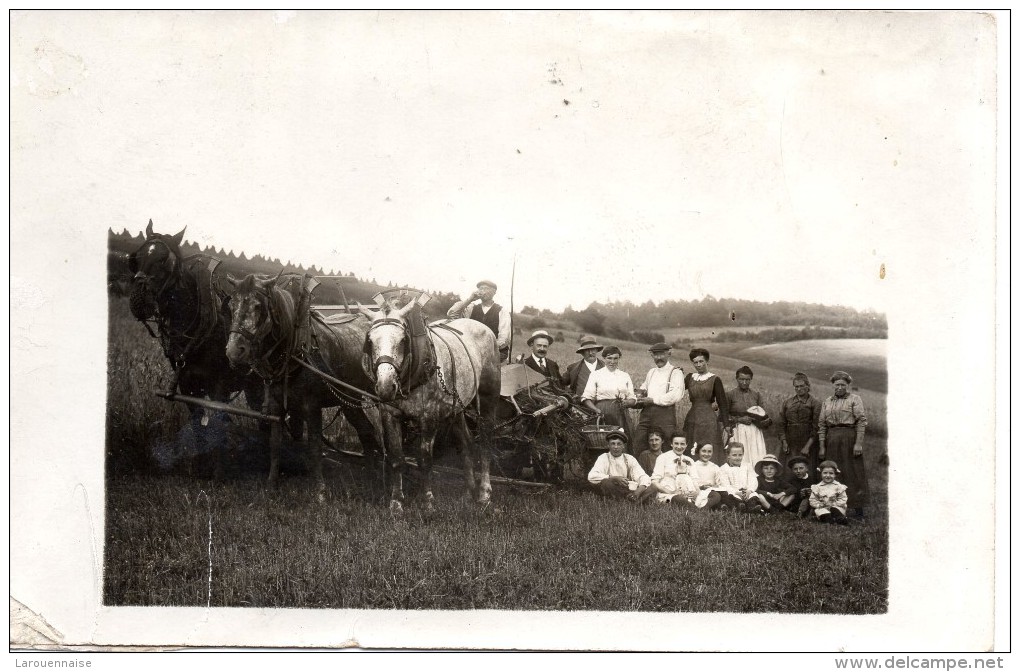 76  - NOLLEVAL  Ferme Leroux  Carte Photo - Other & Unclassified