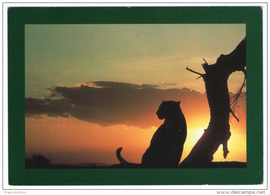 WILD TANZANIA - LEOPARD CONTEMPLATING THE LANDSCAPE / THEMATIC STAMPS-OLYMPIC GAMES / CALGARY 88 / SKY - Tanzania