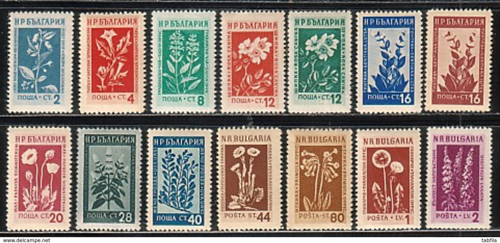 BULGARIA \ BULGARIE - 1953 - Serie Courant -  Plantes Medicales - 14v.** - Unused Stamps