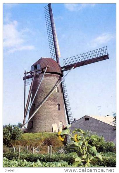 KINROOI (Limb.) - Molen/moulin/mill - Fraaie Opname Uit 1973 Van De Lemmensmolen - Kinrooi