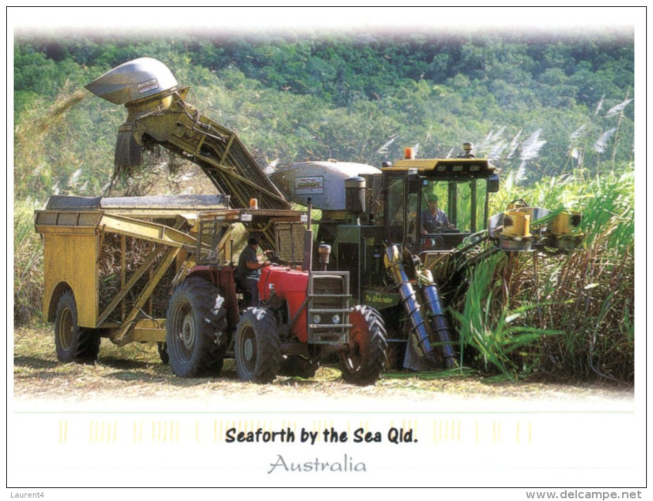 (986) Australia - QLD - Seaforth Sugar Cane Harvesting Machinery - Sunshine Coast