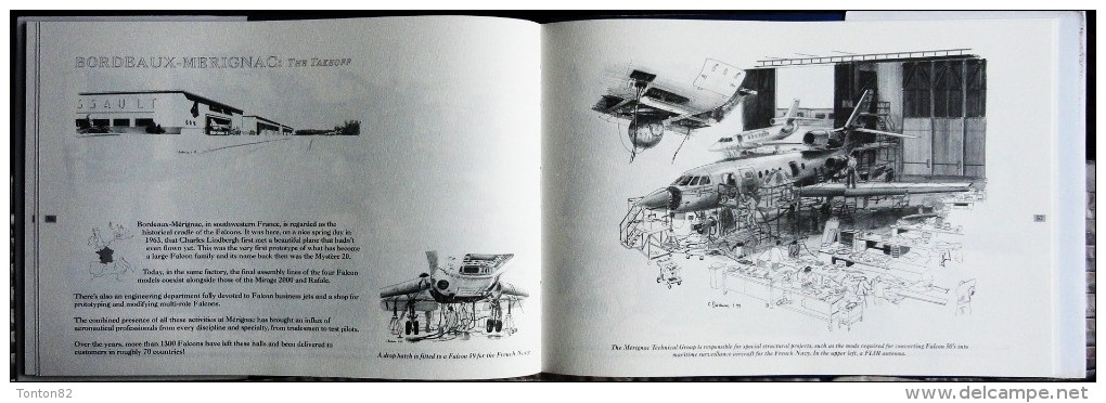 Christian Dardennes - Falcons in the nest ... - A FALCON Factory Sketchbook - Éditions SER - ( 1999 ) .