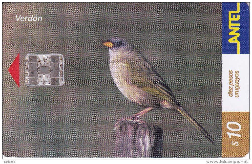 Nº 208 TARJETA DE URUGUAY DE ANTEL DE UN VERDON (PAJARO-BIRD) - Uruguay