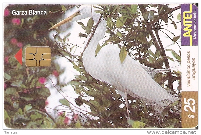 Nº 121 TARJETA DE UN PAJARO DE URUGUAY GARZA BLANCA (BIRD) - Uruguay