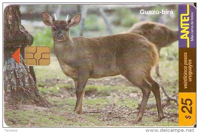 Nº 91 TARJETA DE URUGUAY GUAZU VIRA  (CIERVO-DEER) - Uruguay