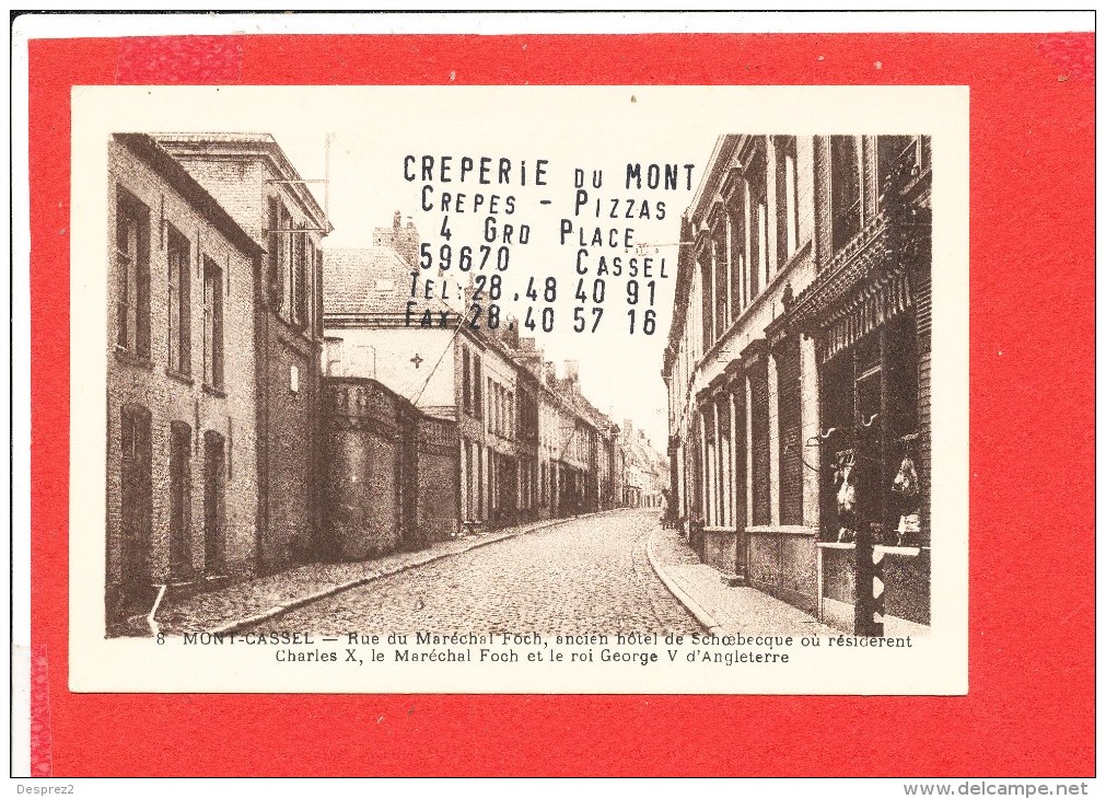 59 MONT CASSEL Cpa Rue  Du Maréchal FOCH   8 Van Eecke - Cassel