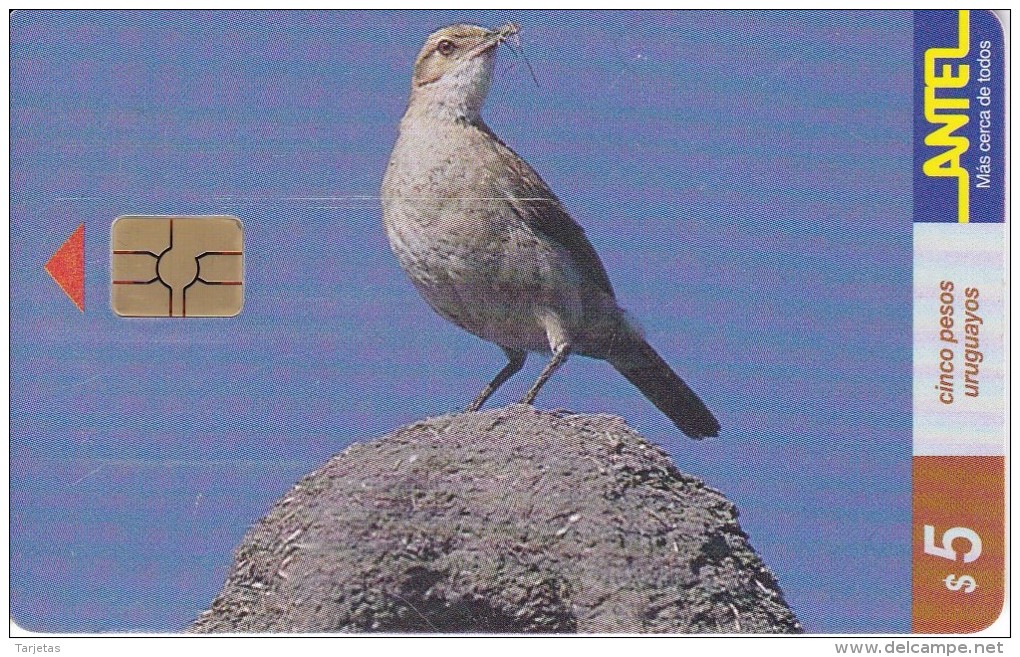 Nº 77 TARJETA DE URUGUAY DE ANTEL DE UN HORNERO (PAJARO-BIRD) - Uruguay