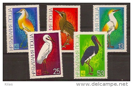 BULGARIA 1981 Birds MNH - Albatros & Stormvogels