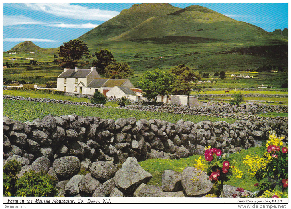 IRELAND - FARM IN THE MOURNE MOUNTAINS, CO DOWN - Down