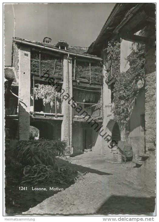 Losone - Foto-AK Grossformat - Verlag O. Süssli-Jenny Thalwil - Losone