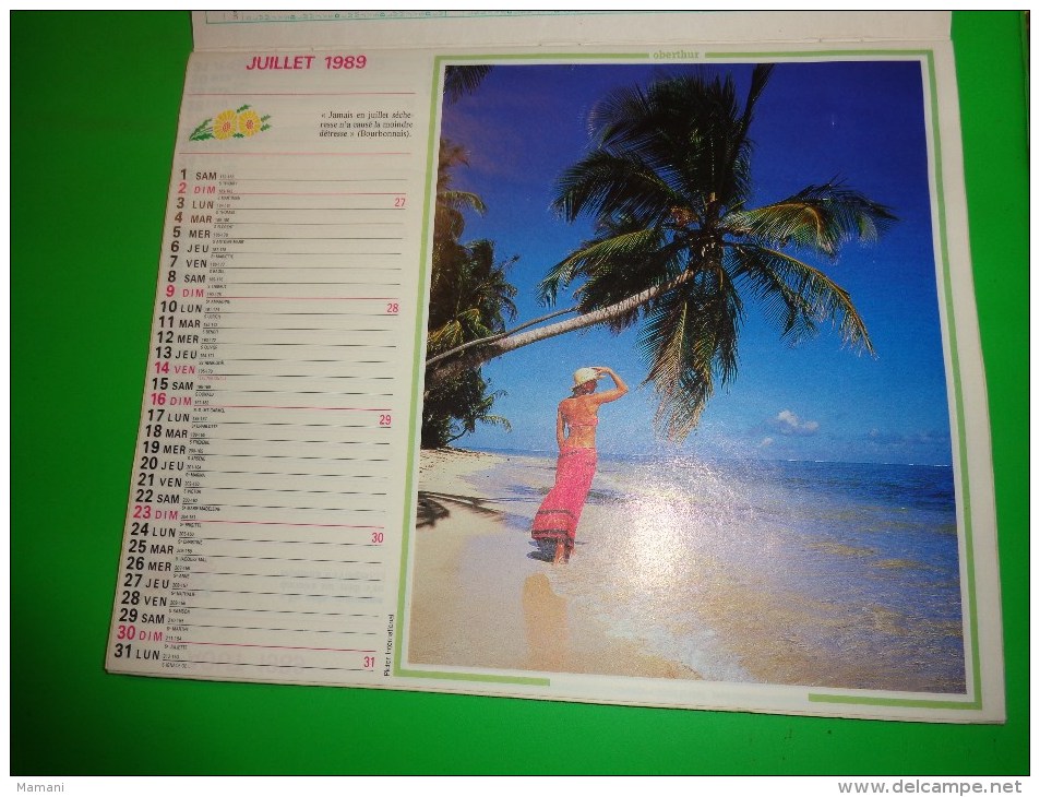 Calendrier 1989-oberthur Fillette-chevreau-oiseau-a L´interieur Yvelines-evry-haut De Seine Etc.. - Big : 1981-90