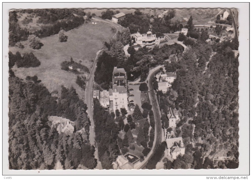 CPSM Grand Format - En Avion Sur ST SAINT NECTAIRE - Vue Sur L'Hotel Du Parc Le Casino Et Le Parc Du Casino - Saint Nectaire