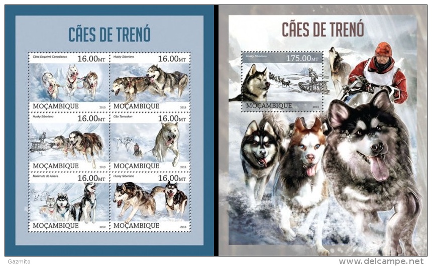 Mozambico 2013, Sled Dogs, 6val In BF +BF - Arctic Tierwelt