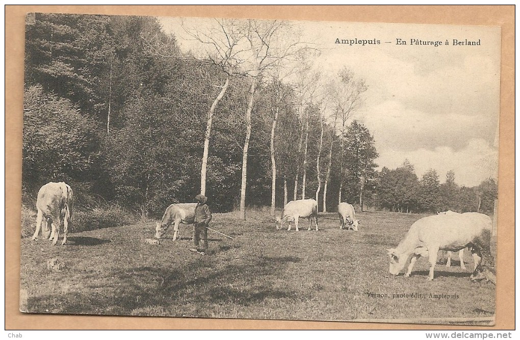 Amplepuis -- En Pâturage à Berland - VACHE - Amplepuis