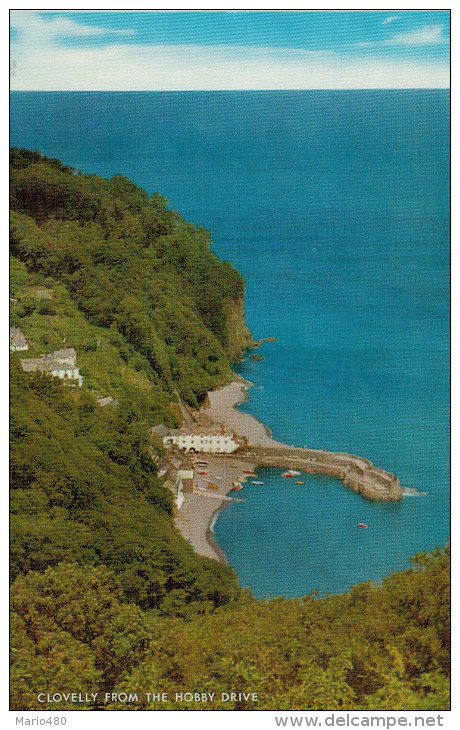 CLOVELLY  FROM THE HOBBY  DRIVE     (NUOVA) - Clovelly